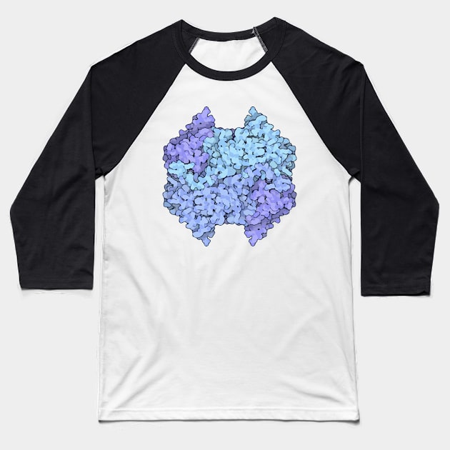 Lactate Dehydrogenase protein structure Baseball T-Shirt by RosArt100